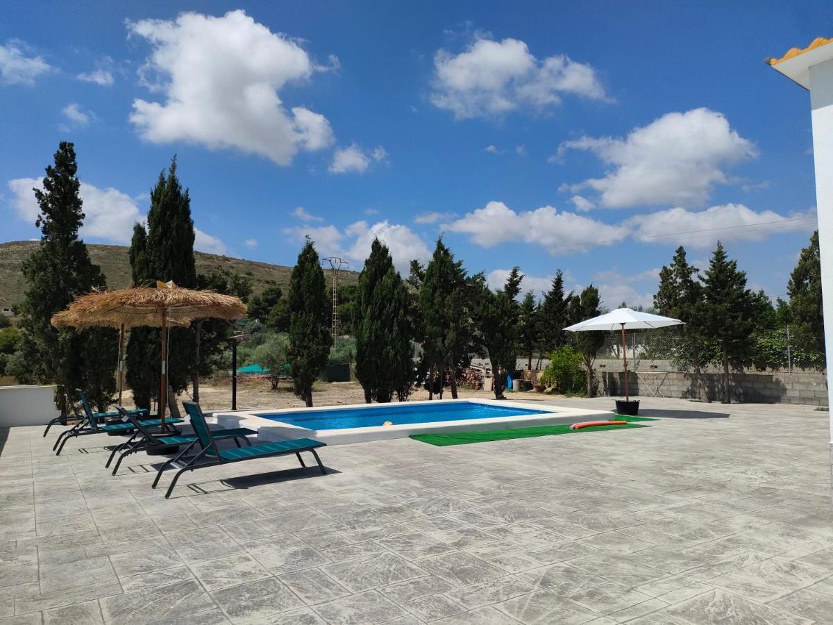 Casa Rural Con Piscina Climatizada Y Barbacoa A 10 Km De Alicante Y Playas, 3000 M2 De Terreno Elche Dış mekan fotoğraf