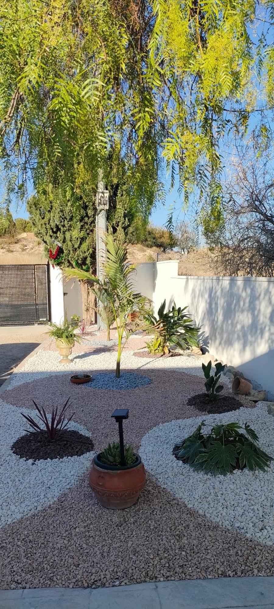 Casa Rural Con Piscina Climatizada Y Barbacoa A 10 Km De Alicante Y Playas, 3000 M2 De Terreno Elche Dış mekan fotoğraf