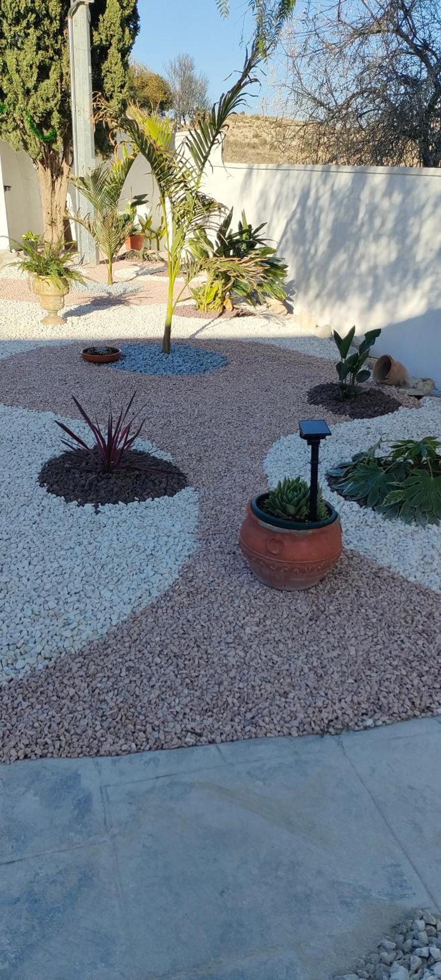 Casa Rural Con Piscina Climatizada Y Barbacoa A 10 Km De Alicante Y Playas, 3000 M2 De Terreno Elche Dış mekan fotoğraf