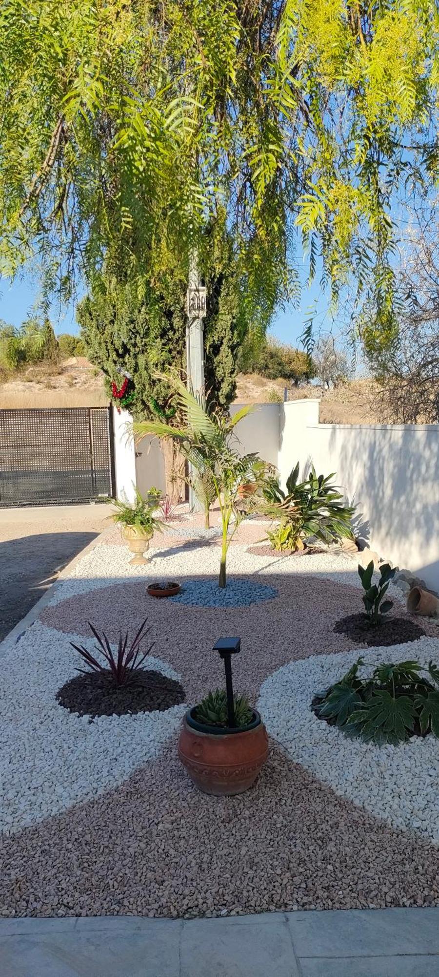 Casa Rural Con Piscina Climatizada Y Barbacoa A 10 Km De Alicante Y Playas, 3000 M2 De Terreno Elche Dış mekan fotoğraf